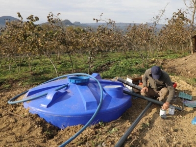 Fındık bahçeleri yeni sulama sistemiyle korunuyor