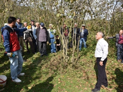 Fındık üreticileri bahçe okulunda eğitim aldı