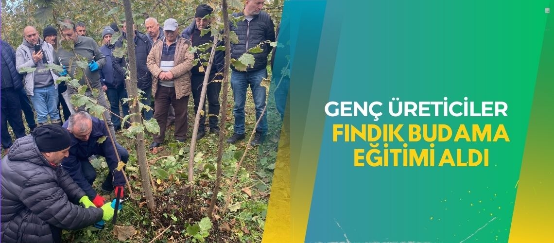 Genç üreticiler fındık budama eğitimi aldı