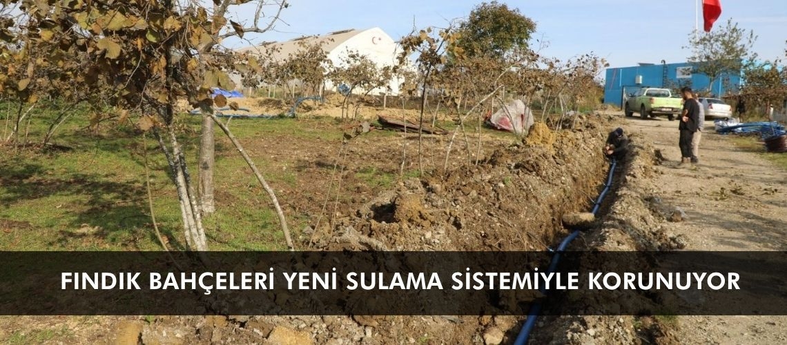 Fındık bahçeleri yeni sulama sistemiyle korunuyor