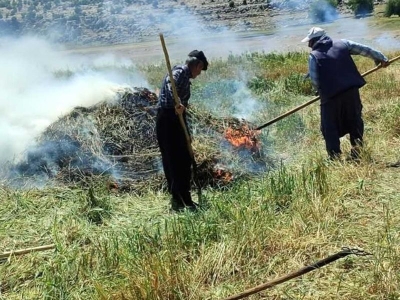 Firik lezzetini geleneksel üretimden alıyor