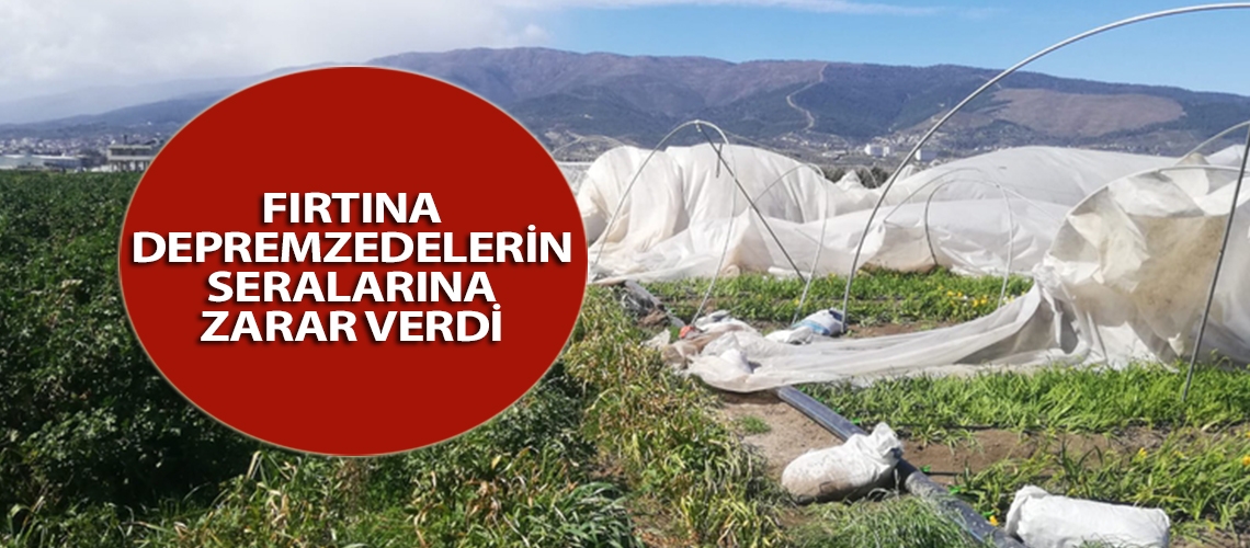 Fırtına depremzedelerin seralarına zarar verdi