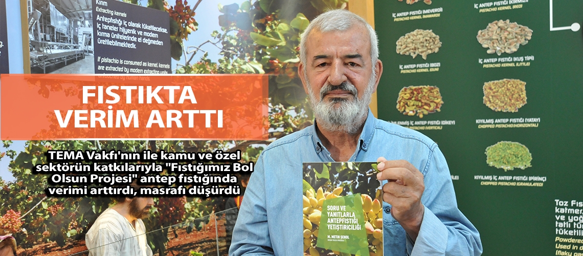 Fıstıkta verim arttı