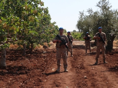 Jandarma fıstık hırsızlığına karşı harekete geçti