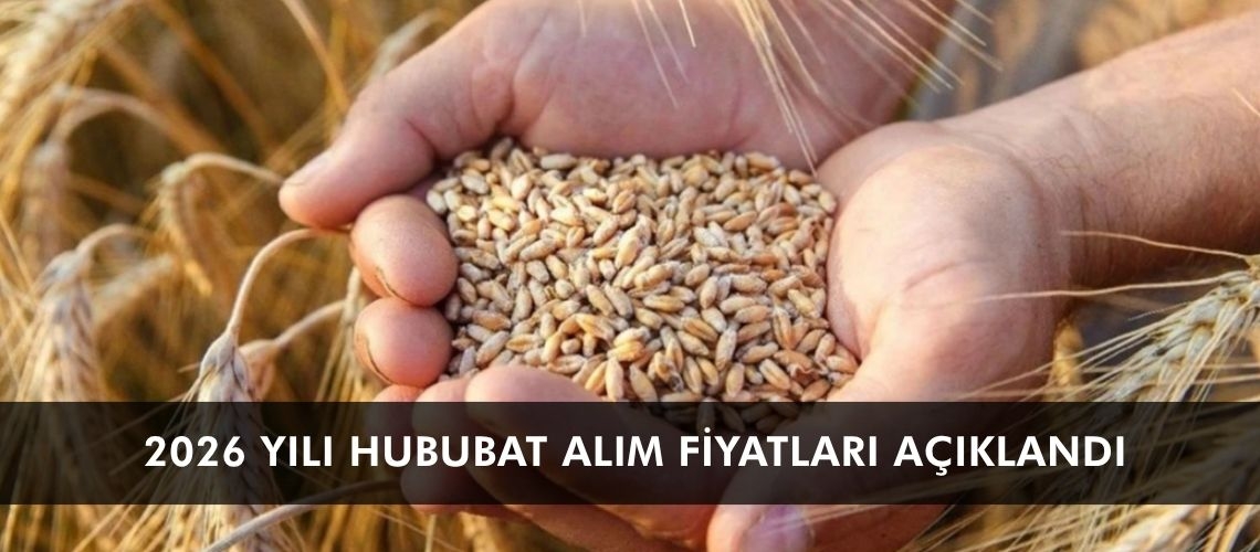 2026 yılı hububat alım fiyatları açıklandı