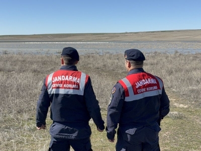 Flamingolar jandarma korumasında güvende