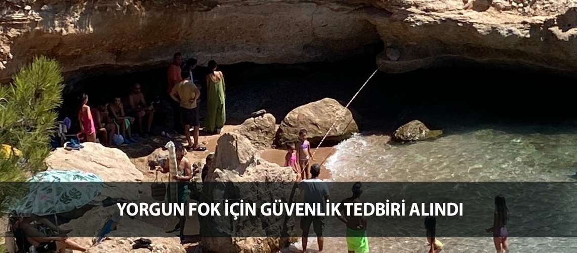 Yorgun fok için güvenlik tedbiri alındı