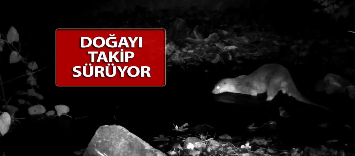 Doğayı takip sürüyor