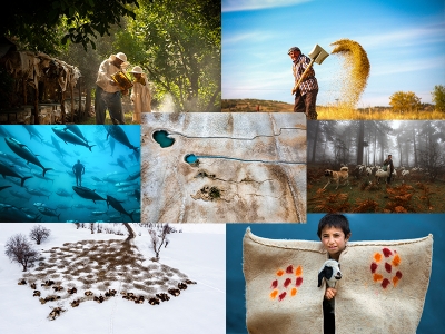 13. Tarım Orman ve İnsan Fotoğraf Yarışması sonuçlandı