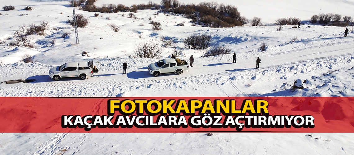 Fotokapanlar kaçak avcılara göz açtırmıyor