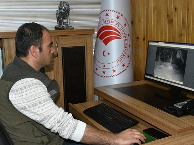 Fotokapanlar kaçak avcılara göz açtırmıyor