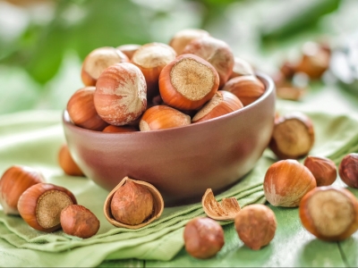 Uluslararası Fındık Kongresi başladı