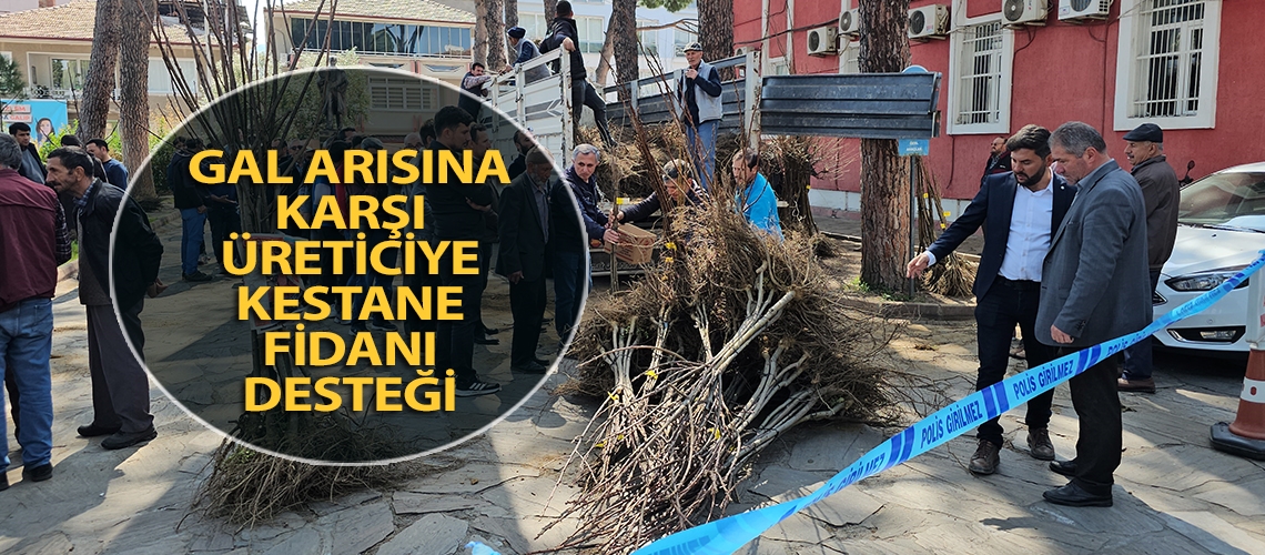 Gal arısına karşı üreticiye kestane fidanı desteği