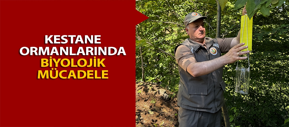 Kestane ormanlarında biyolojik mücadele