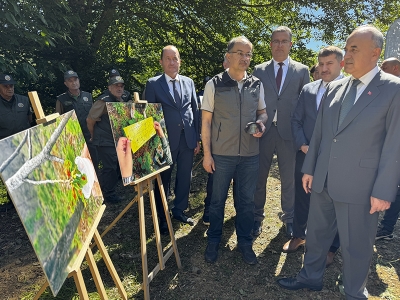 Kestane ormanlarında biyolojik mücadele