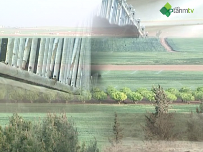 GAP Bölgesi Hayvancılık İşletmelerinin Sorunları