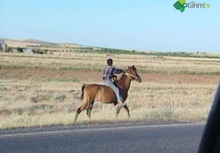 GAP Bölgesinde Ekim Nöbeti Uygulamanın Önemi