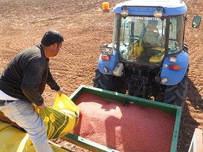 GAP çiftçisinin ekim telaşı