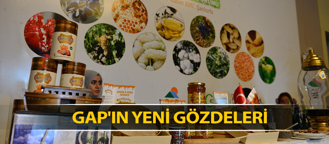 GAP'ın yeni gözdeleri
