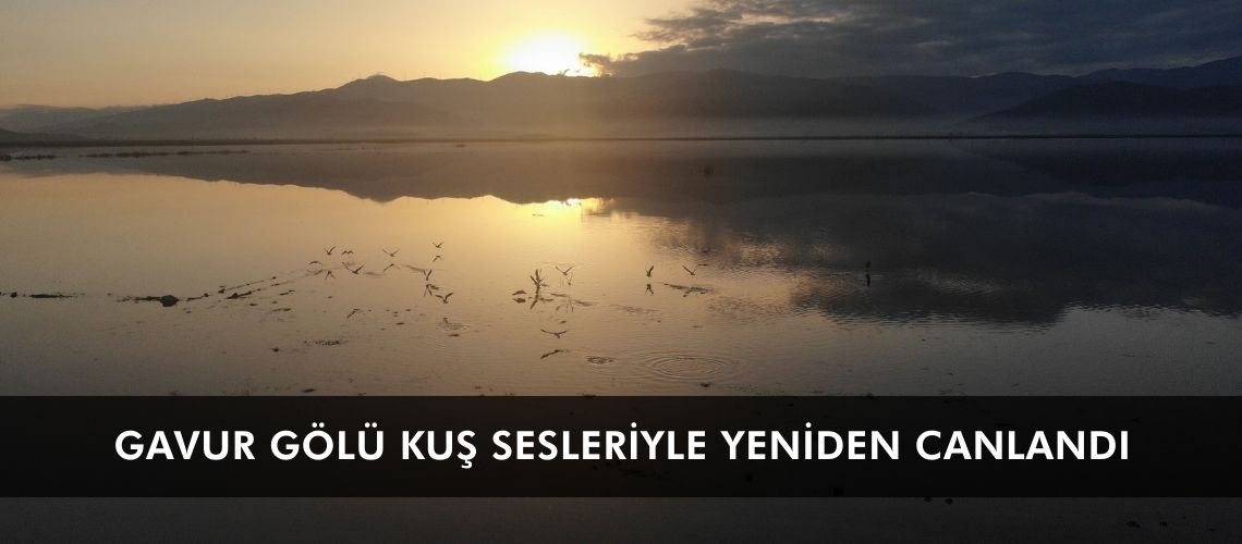 Gavur Gölü kuş sesleriyle yeniden canlandı