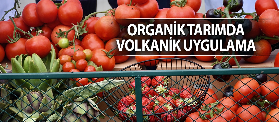 Organik tarımda volkanik uygulama