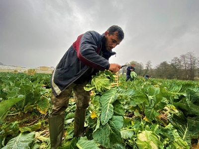 İki dairesini satıp tarımsal üretime başladı