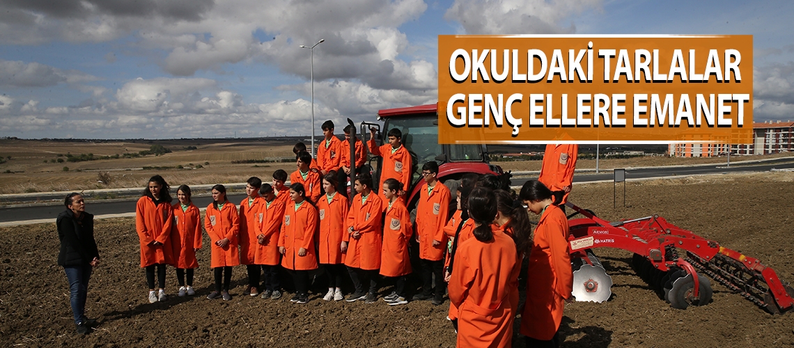 Okuldaki tarlalar genç ellere emanet