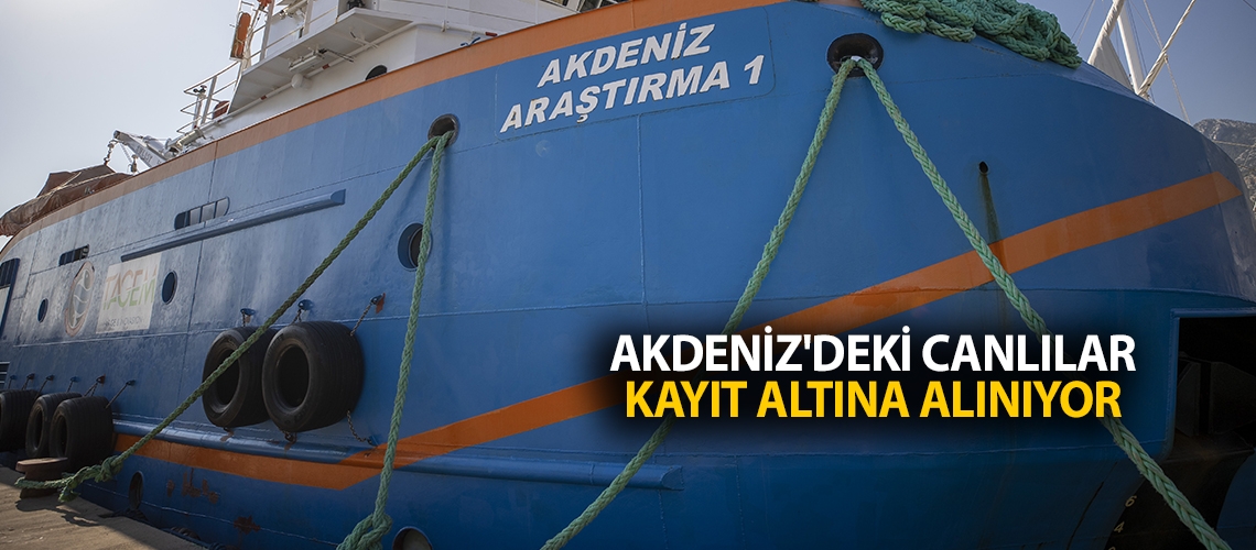 Akdeniz'deki canlılar kayıt altına alınıyor