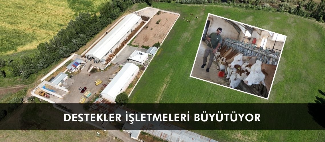 Genç girişimci devlet desteğiyle aile işletmesini büyütüyor