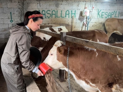 Genç çift, genç çiftçi desteğiyle mandıra kurdu