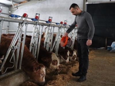 Devlet desteğiyle geleneksel hayvancılıktan modern üretime geçti