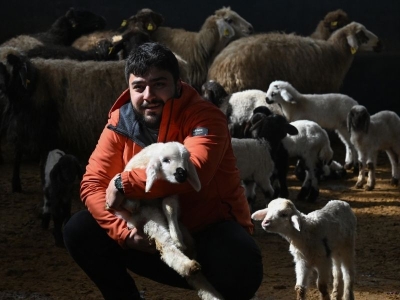 Üniversiteli genç hayvancılıkta söz sahibi olmak istiyor