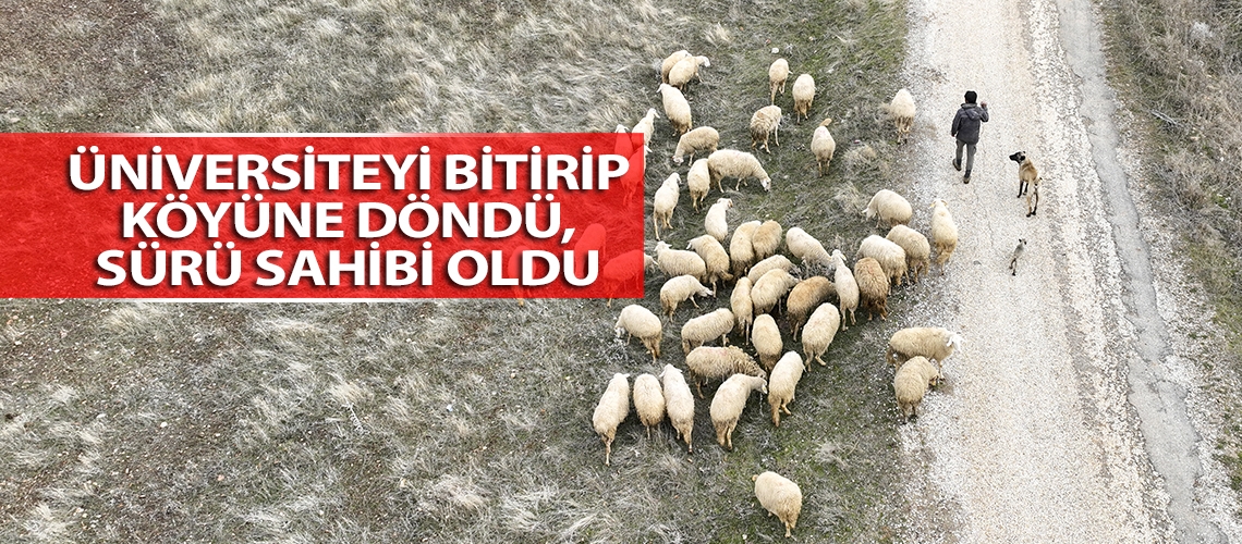 Üniversiteyi bitirip köyüne döndü, sürü sahibi oldu