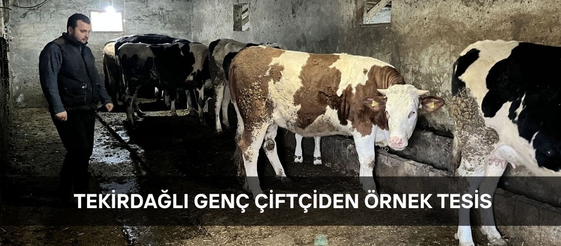 Tekirdağlı genç çiftçiden örnek tesis