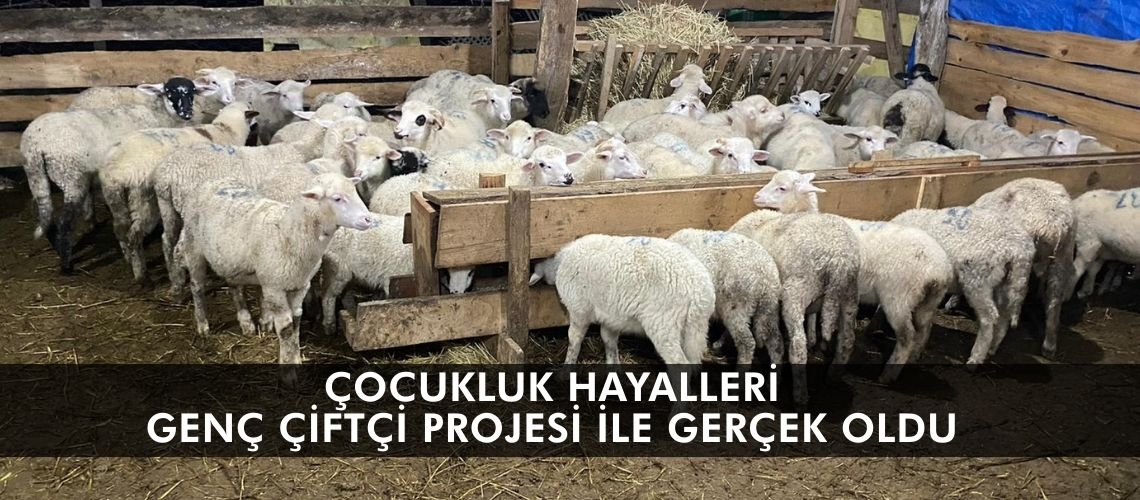 Çocukluk hayalleri Genç Çiftçi Projesi ile gerçek oldu