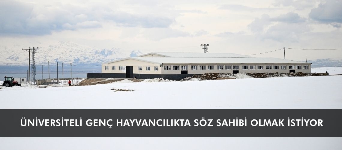 Üniversiteli genç hayvancılıkta söz sahibi olmak istiyor