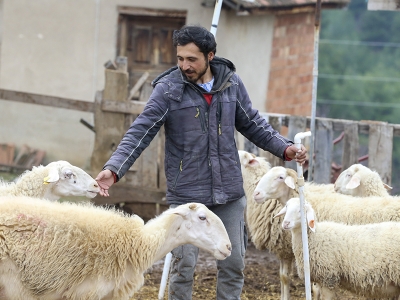 Üniversiteyi bitirip köyüne döndü, sürü sahibi oldu