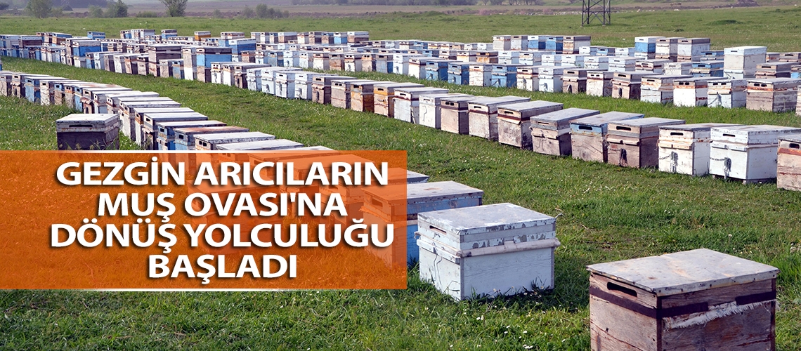 Gezgin arıcıların Muş Ovası'na dönüş yolculuğu başladı