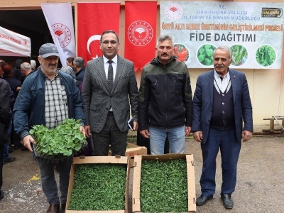 Sebze üretimi fide desteğiyle güçleniyor