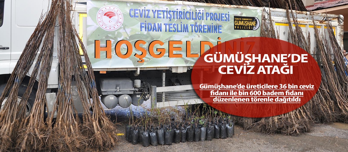 Gümüşhane’de ceviz atağı