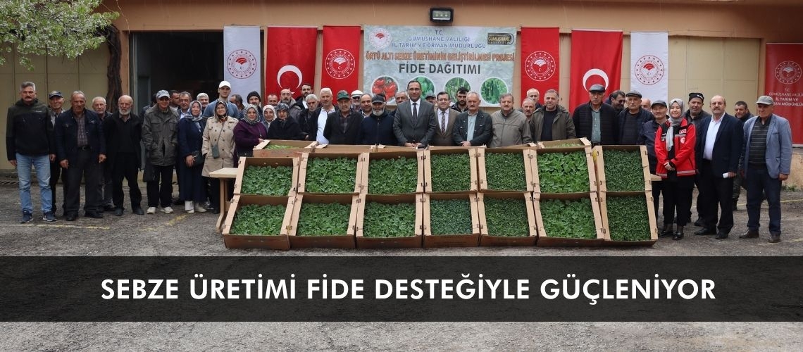 Sebze üretimi fide desteğiyle güçleniyor