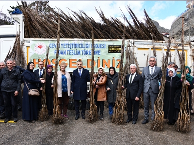 Gümüşhane’de ceviz atağı