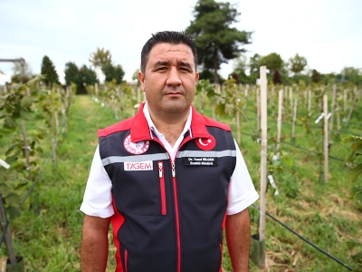 Yüksek verim için fındıklar incelenecek