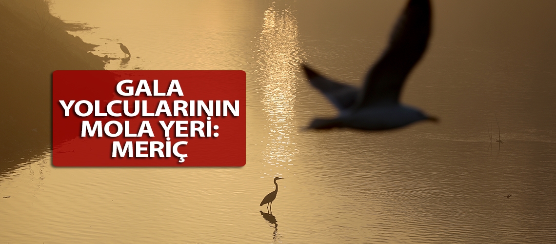 Gala yolcularının mola yeri: Meriç