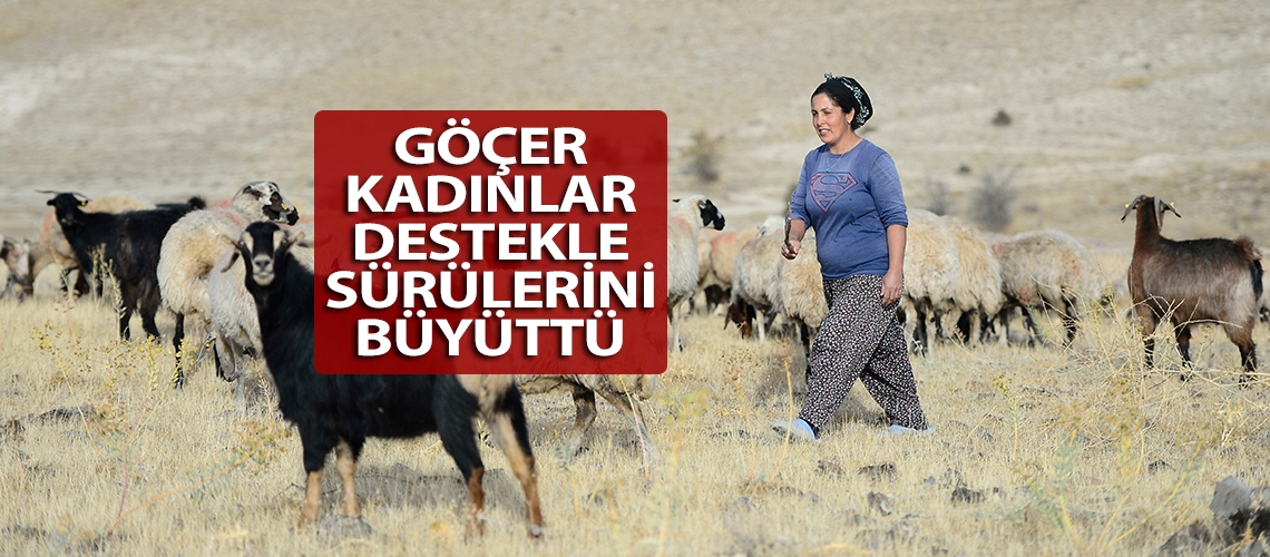 Göçer kadınlar destekle sürülerini büyüttü
