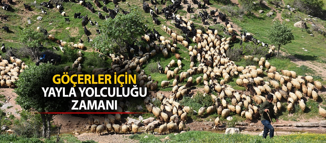 Göçerler için yayla yolculuğu zamanı