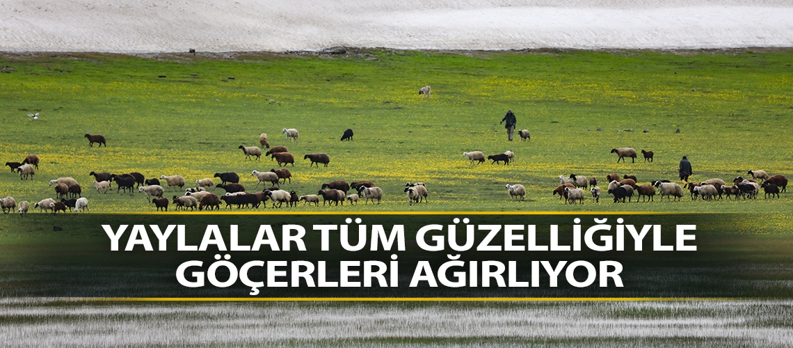 Yaylalar tüm güzelliğiyle göçerleri ağırlıyor