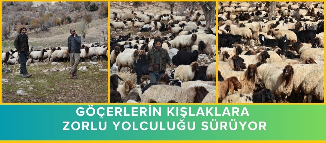 Göçerlerin kışlaklara zorlu yolculuğu sürüyor