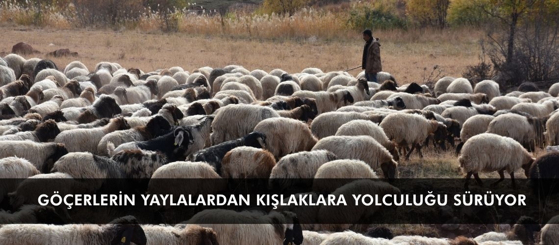 Göçerlerin yaylalardan kışlaklara yolculuğu sürüyor