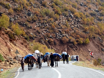 Bitlis'te göçerlerin dönüş yolculuğu sürüyor